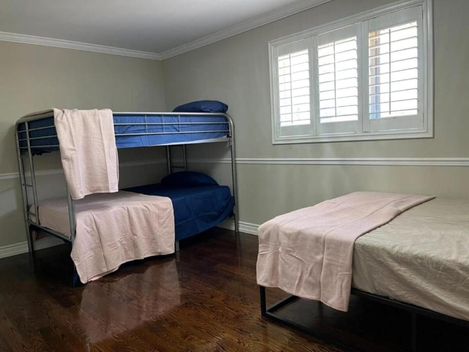 Bed, Photo of the whole room, Bedroom, bunk bed
