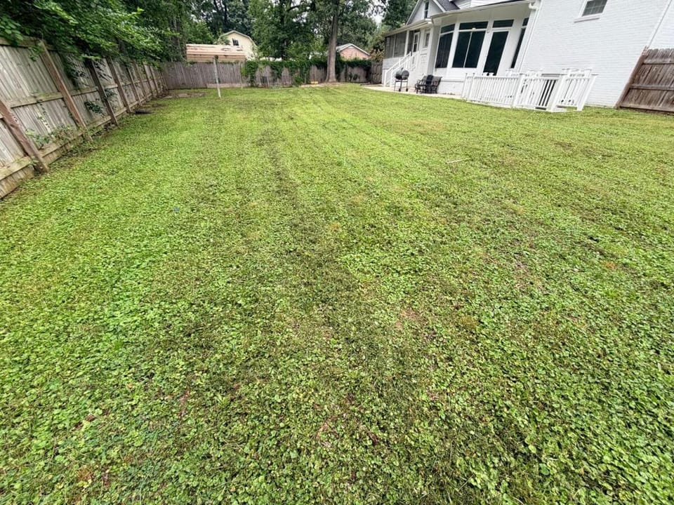 Spacious 4br home with big yard near downtown House in Richmond
