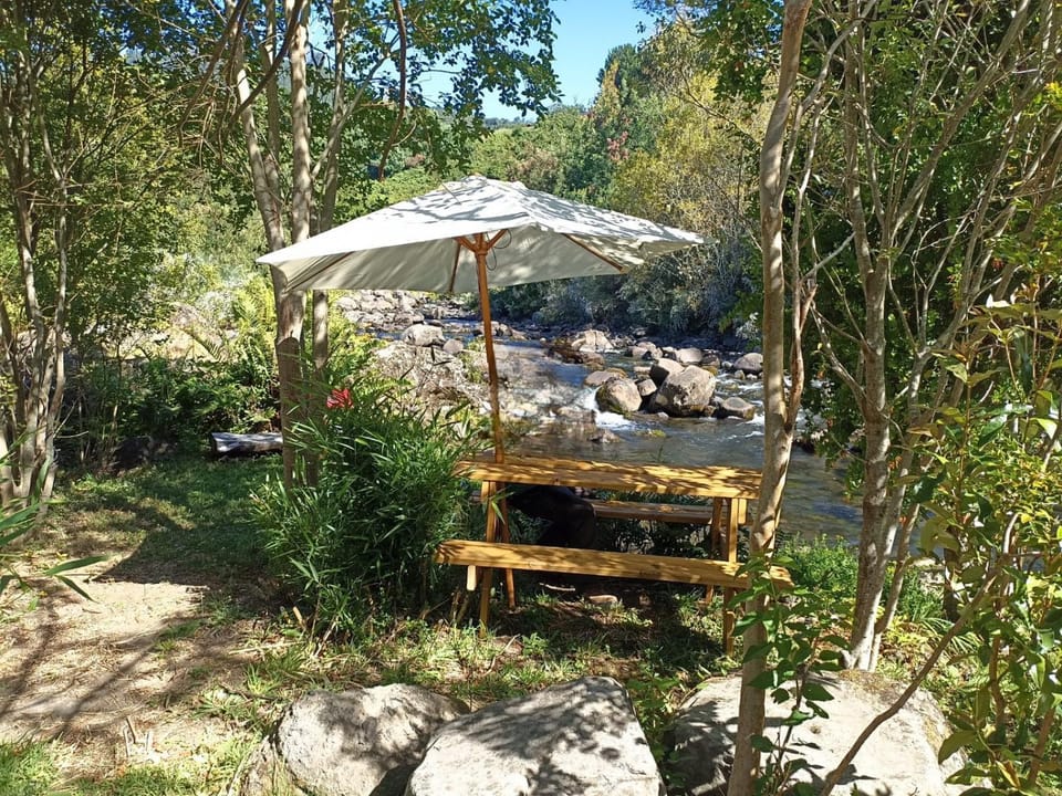 Camping Monteluz Lago Ranco Campground/ 
RV Resort in Los Ríos, Chile