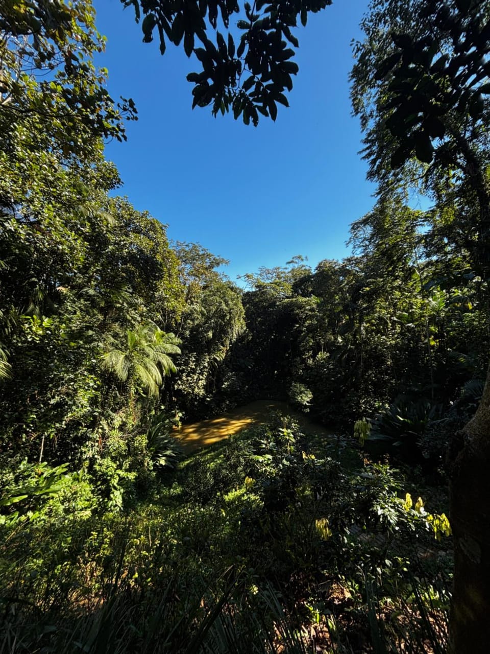 Casa Rústica em meio a natureza próx Pomerode e Timbó House in State of Santa Catarina