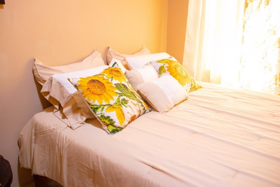 Cozy centrally located apartment in David House in David