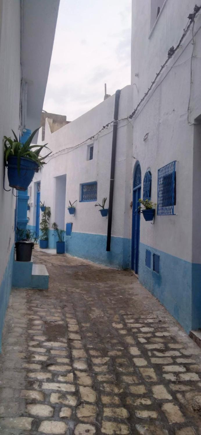Casa única en la Médina antigua Apartment in Tunisia