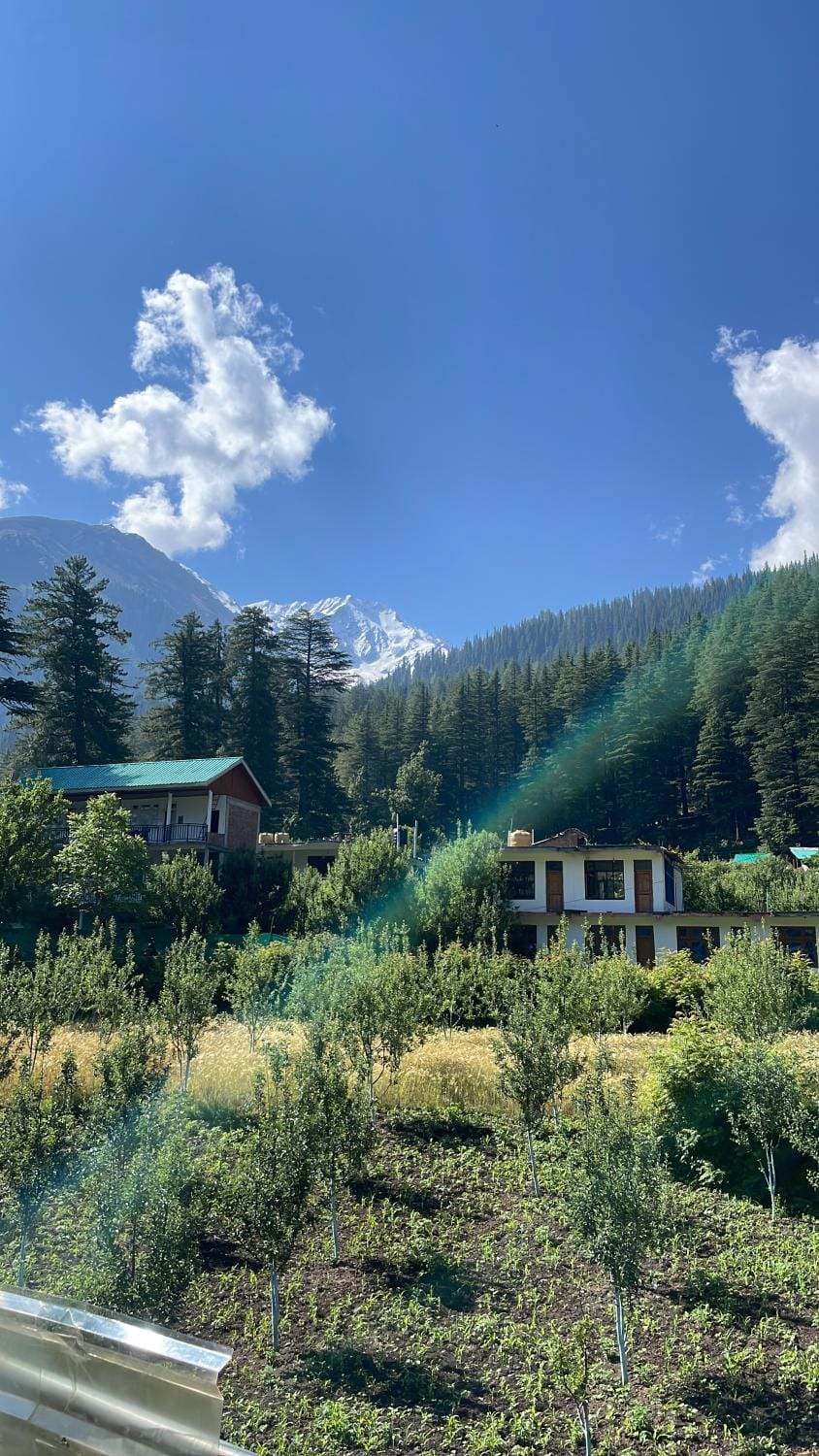 View (from property/room)
