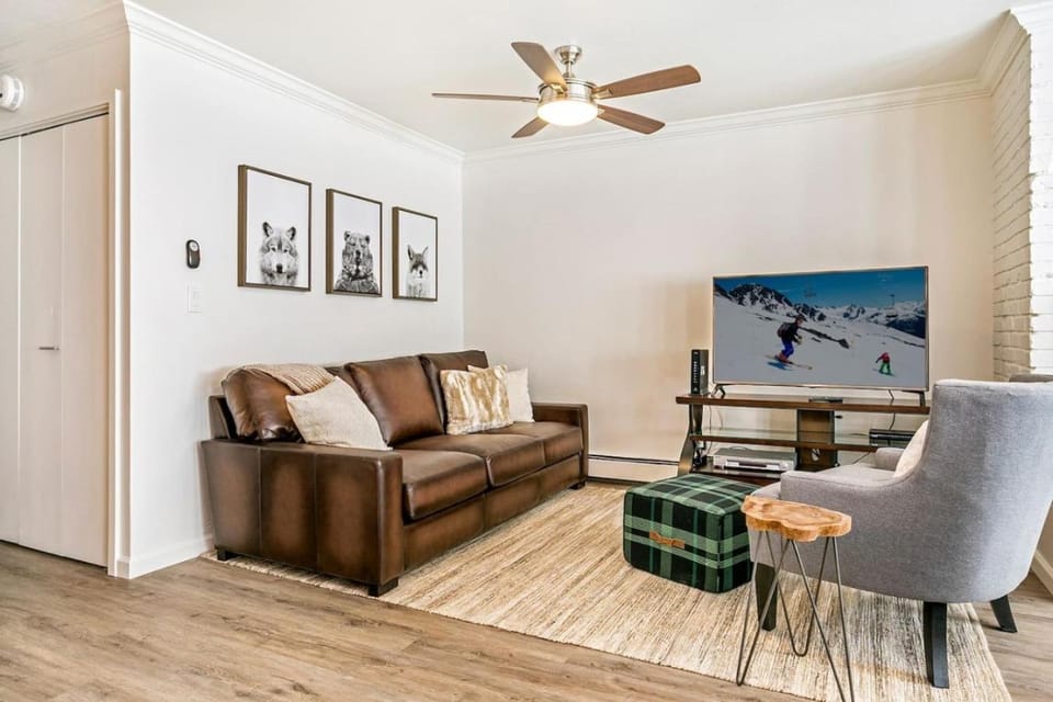 Vail Luxury Condo 2 Bed 2 Bath Mtn Views House in Vail