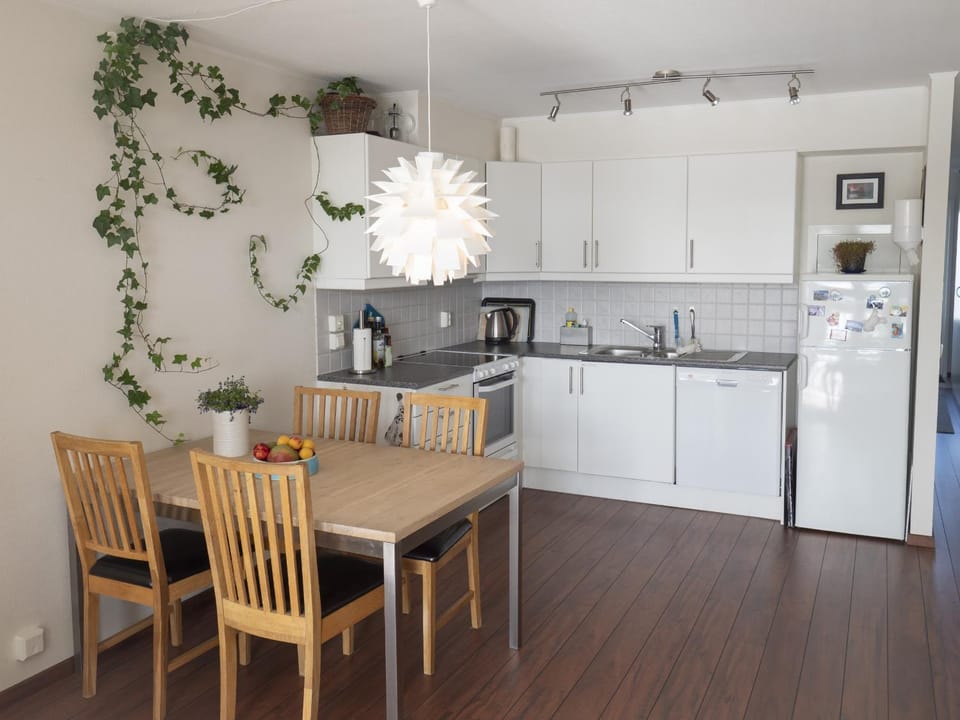 Kitchen or kitchenette, Dining area, dishwasher, oven, stove