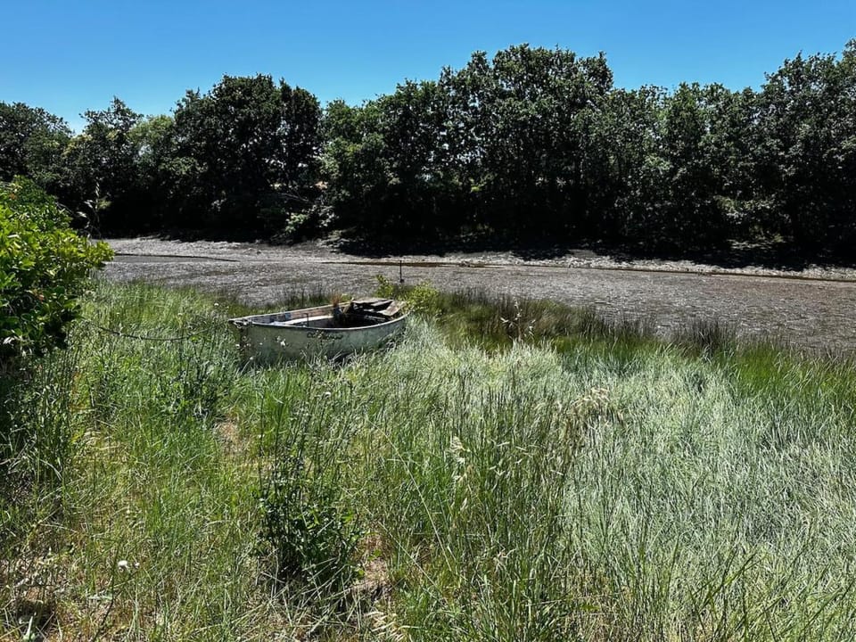 Villa Hurlevent au cœur de la réserve du Minaouët 8 personnes Villa in Concarneau