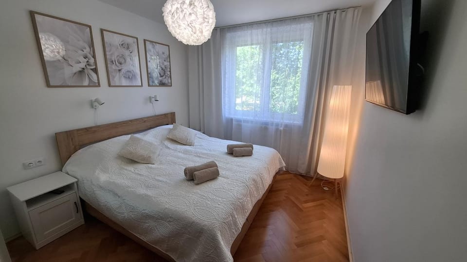 Apartmán u lázní Apartment in South Moravian Region