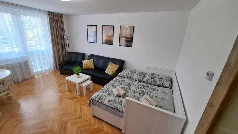 Apartmán u lázní Apartment in South Moravian Region