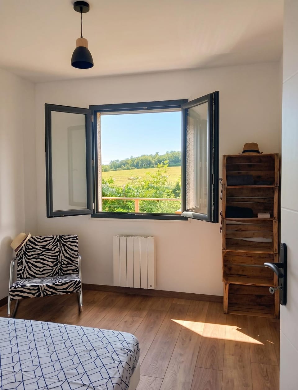 Photo of the whole room
