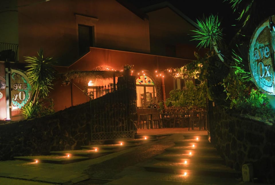 Property building, Night, Garden, Garden view