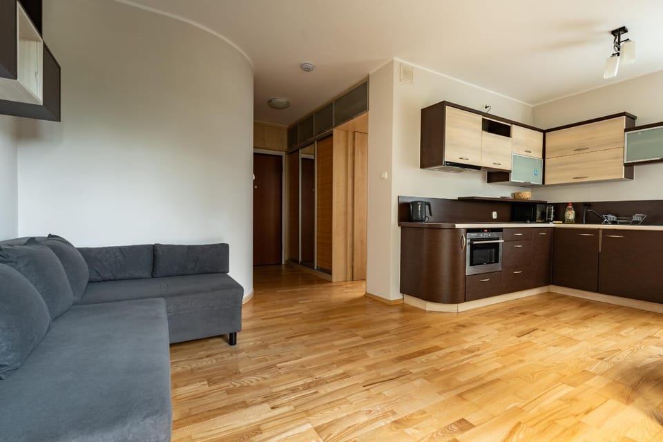 Kitchen or kitchenette, Living room, Seating area, Dining area, dishwasher, stove