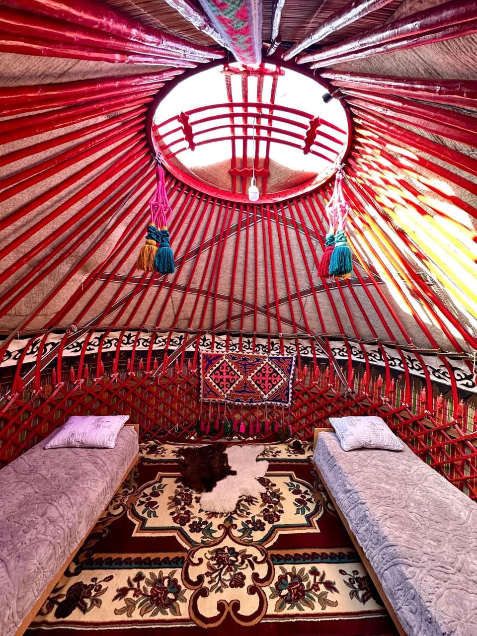 Photo of the whole room, Bedroom, bunk bed