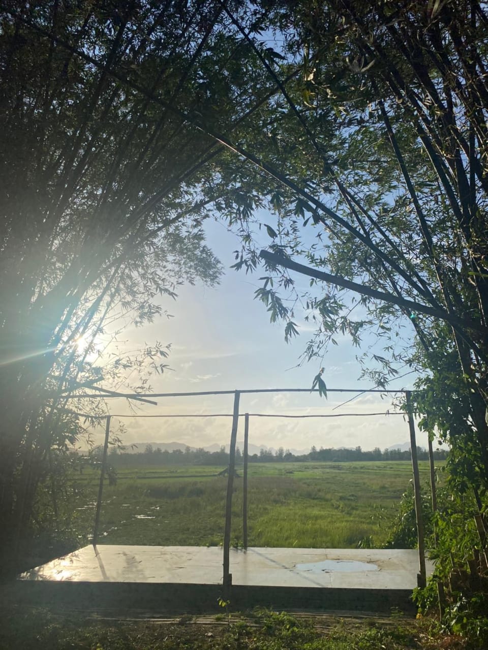 View (from property/room)