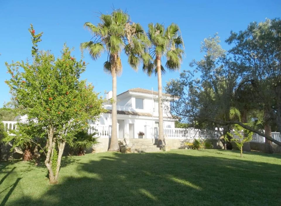 Property building, Garden view