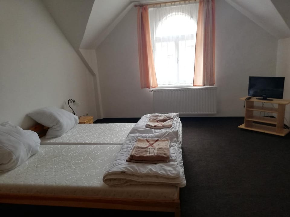 Penzion Pancéř Apartment in Erzgebirgskreis