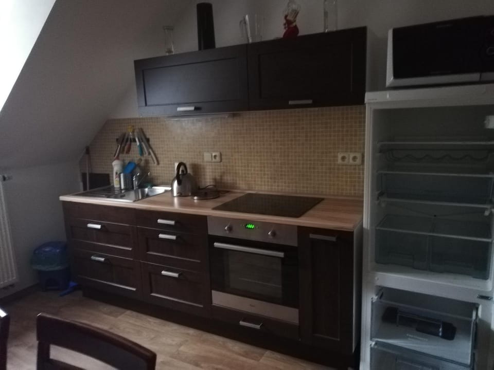 Penzion Pancéř Apartment in Erzgebirgskreis