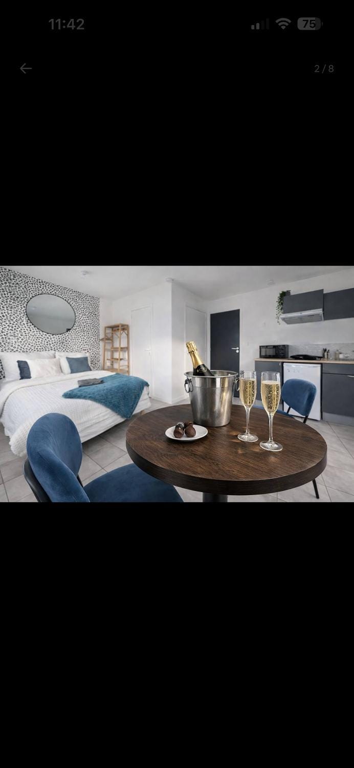 Appartement Centre Ville Quimper avec Parking Apartment in Quimper