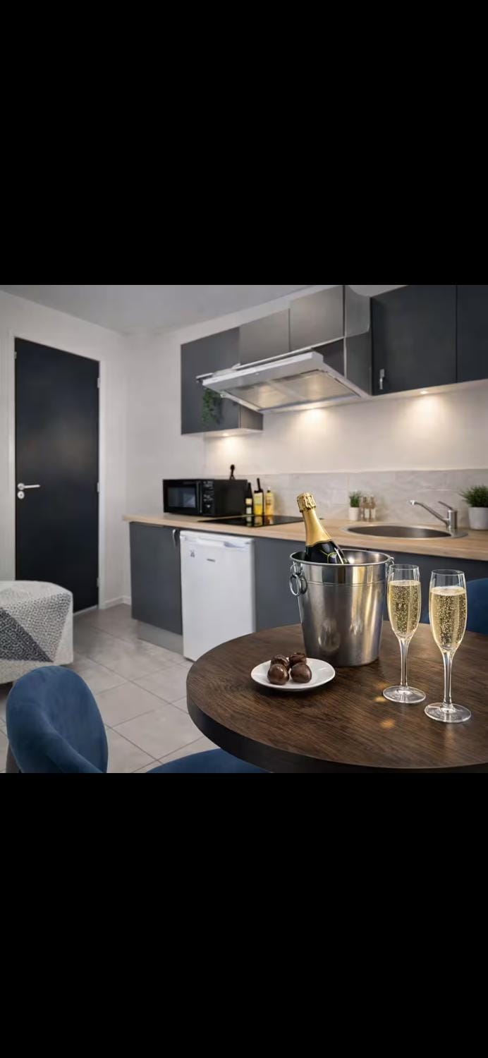 Appartement Centre Ville Quimper avec Parking Apartment in Quimper