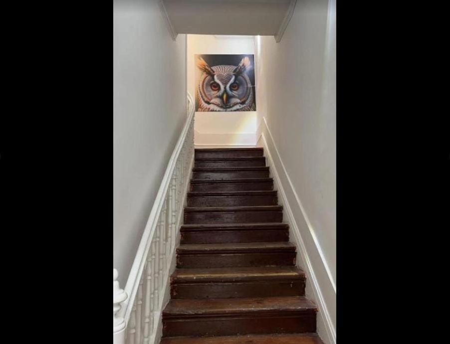 owls hostel Hostel in Porto