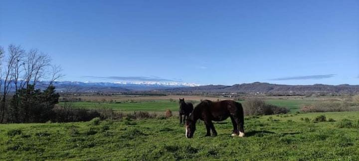 Horse-riding