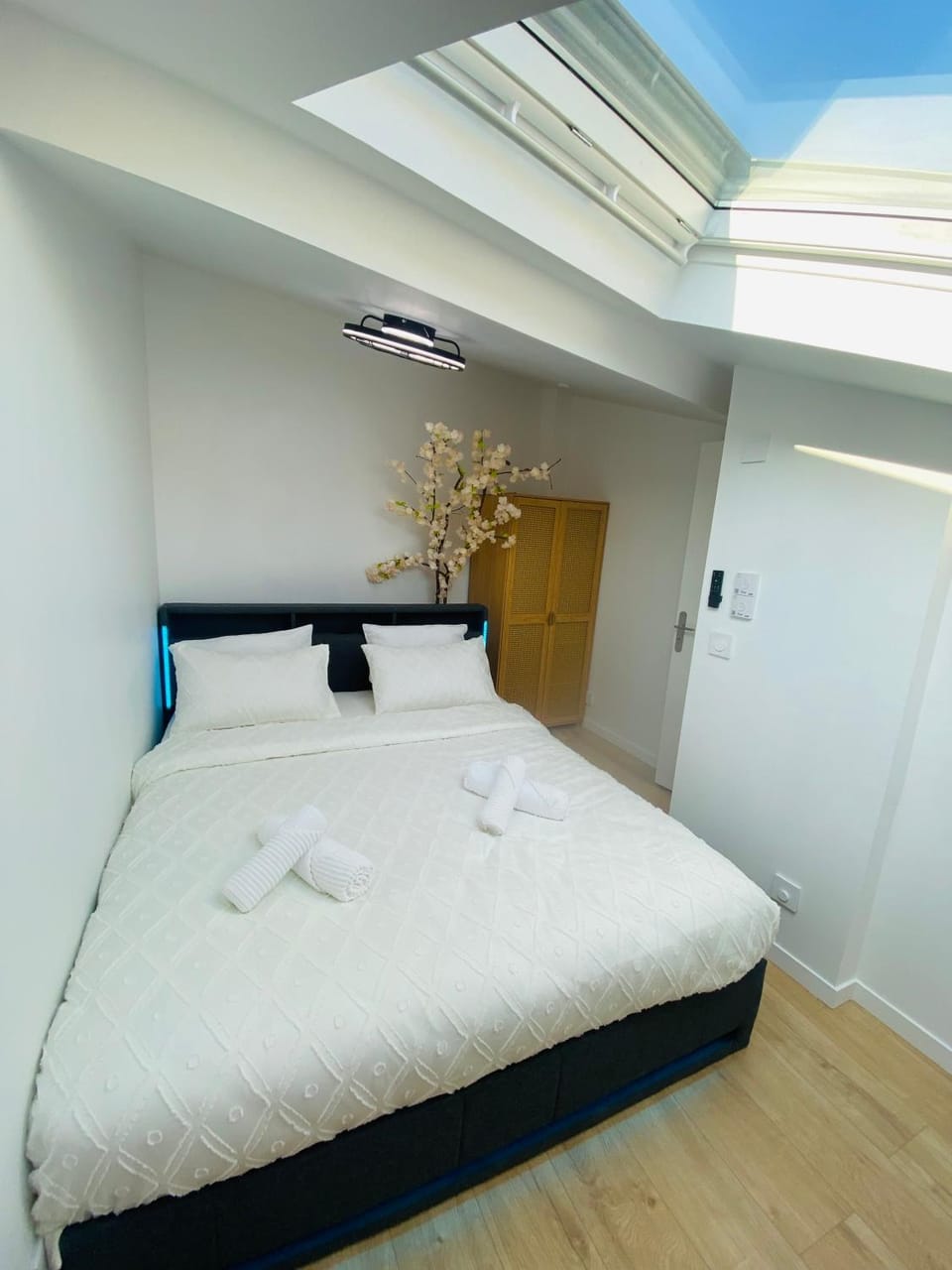 Bed, Photo of the whole room, Bedroom