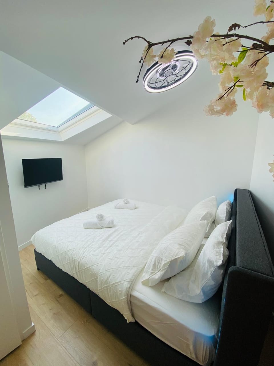 Bed, TV and multimedia, Photo of the whole room, Bedroom