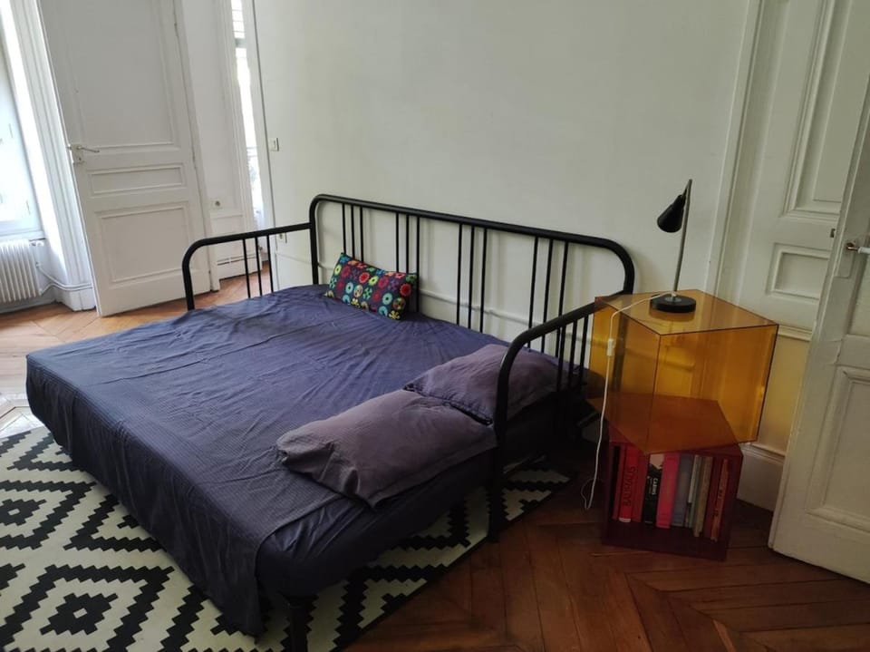 Grand appartement cosy, au coeur de Lyon Apartment in Lyon