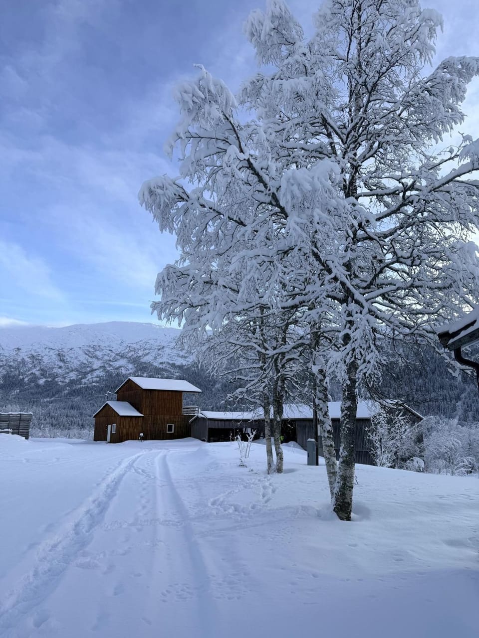 Off site, Winter