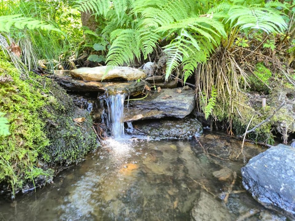 Natural landscape, Garden