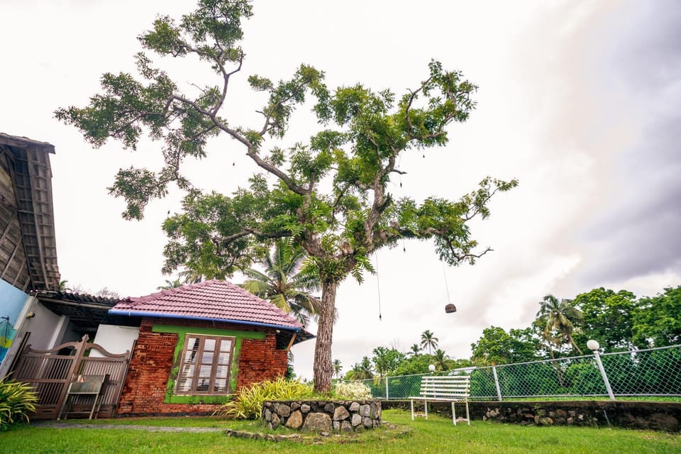 Natural landscape, Garden