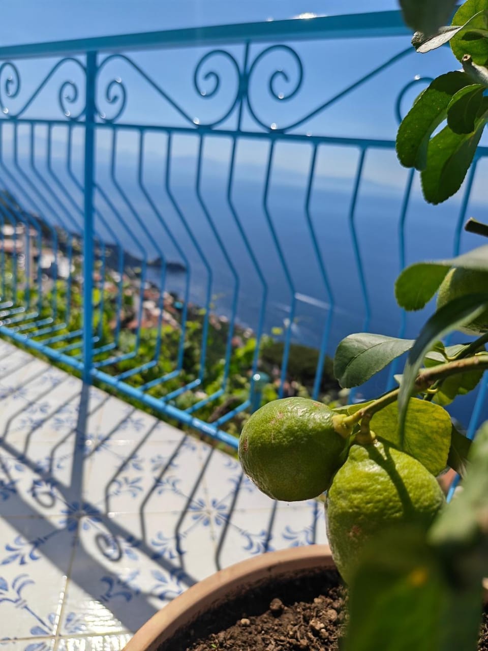 View (from property/room), Balcony/Terrace