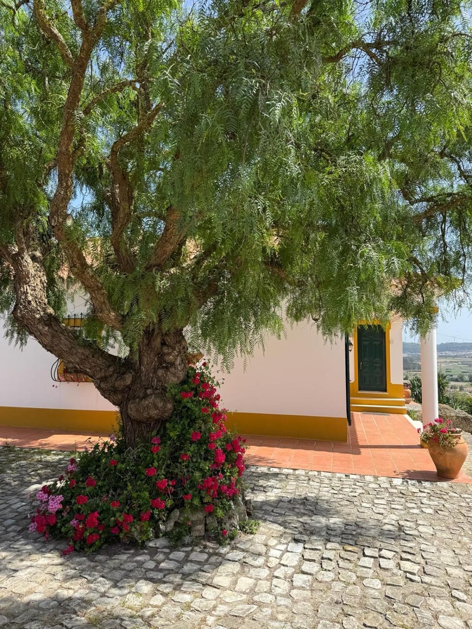 Monte de Santo António - Casa de Campo House in Amoreira