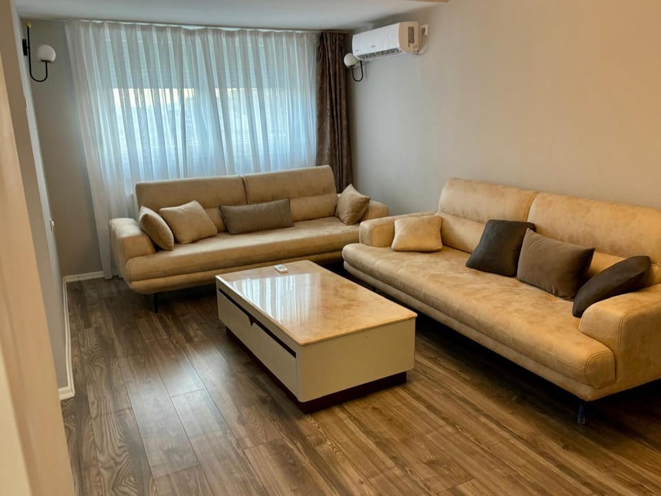 Living room, Seating area, air conditioner