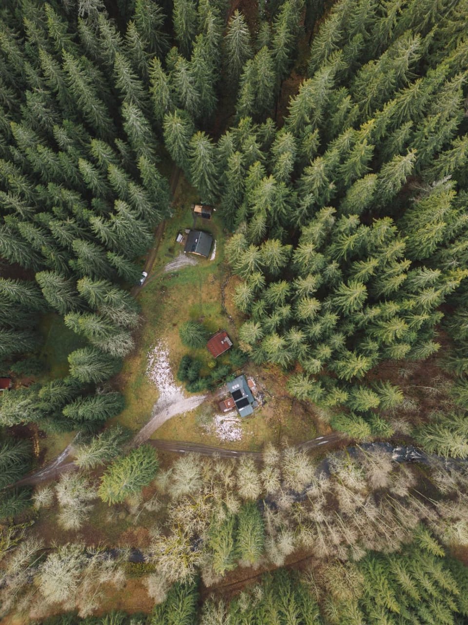 Chata Grizzly House in Czechia