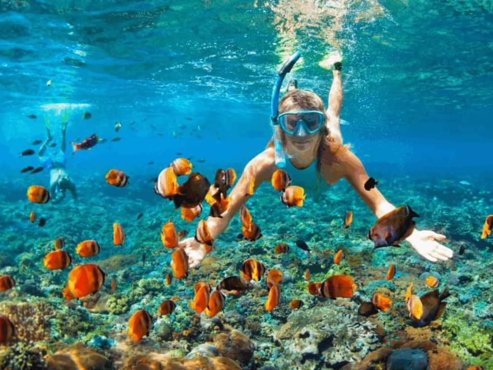 Snorkeling, Sports
