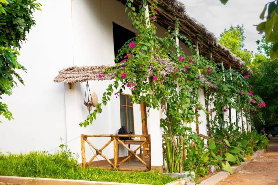 Ecokayak Beach Lodge Bed and Breakfast in Tanzania