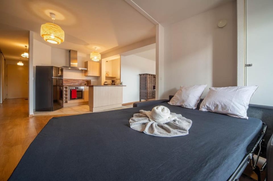 le Wilson T2 Apartment in Dole