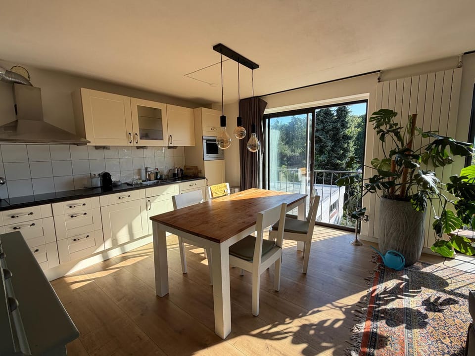 Kitchen or kitchenette, Dining area, stove