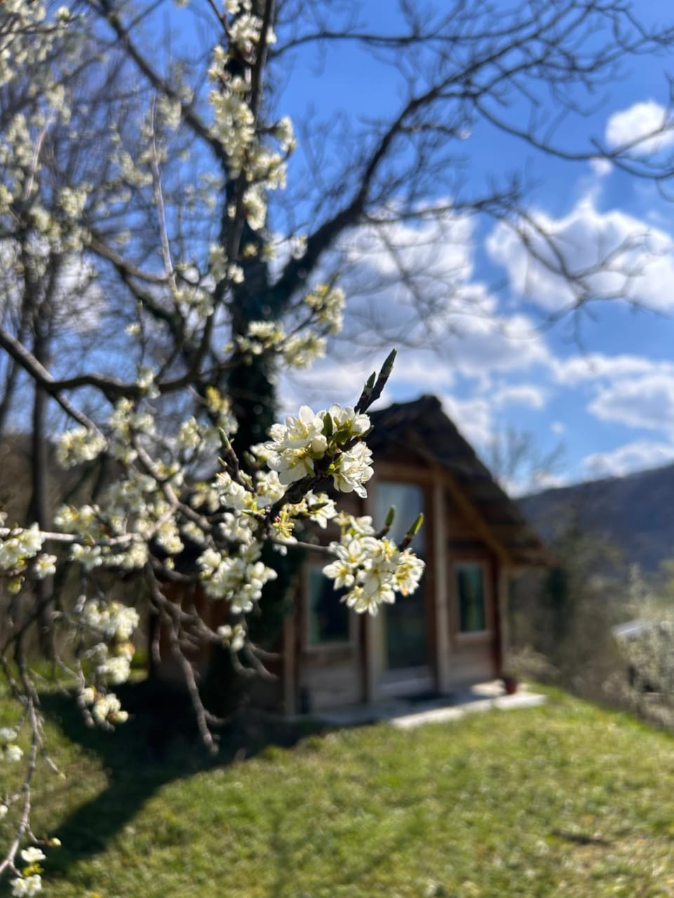 Malajac Bigrenica Campground/ 
RV Resort in Serbia