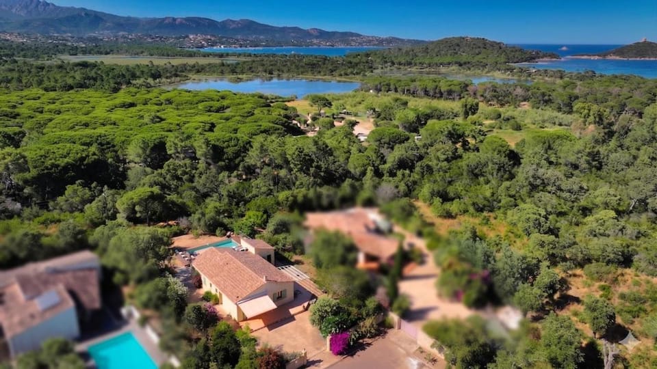 Villa Casarinella for 10 people, pool Beach within walking distance Villa in Zonza