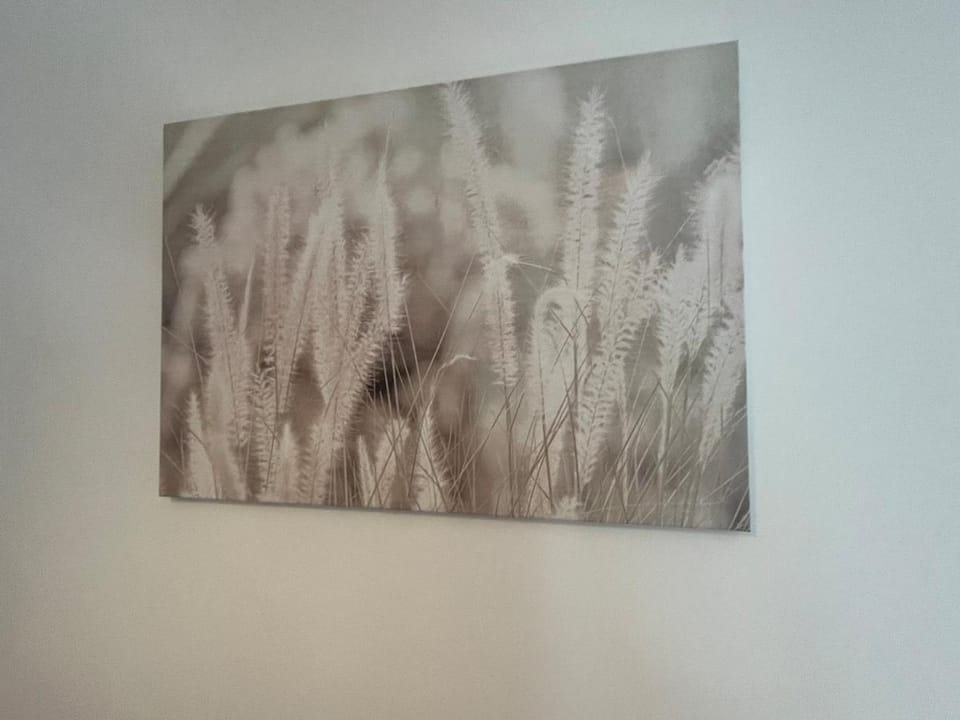 Scorpio 1 House in Burton upon Trent