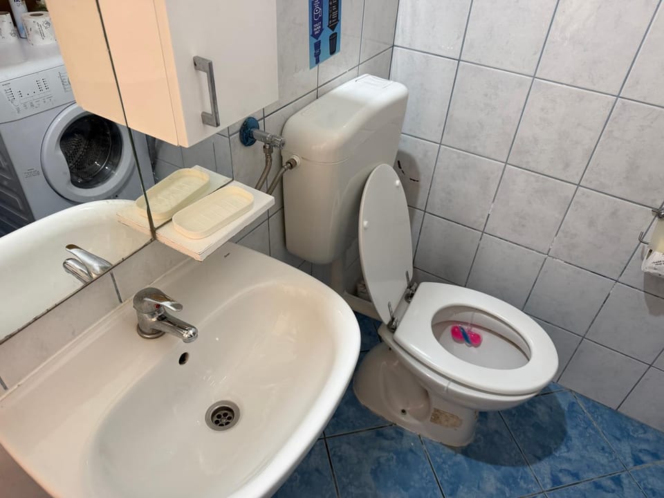Toilet, Property building, Bathroom
