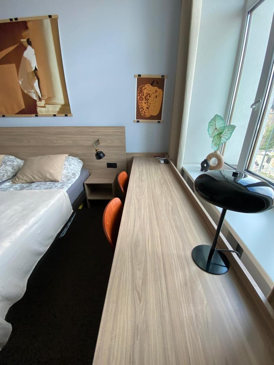 Photo of the whole room