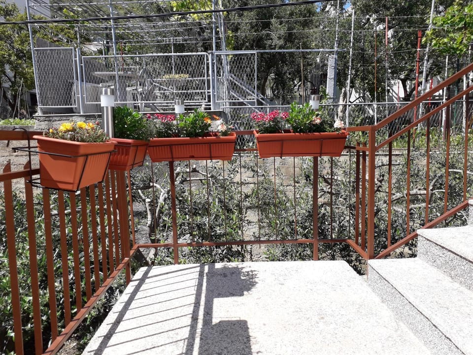 Decorative detail, Area and facilities