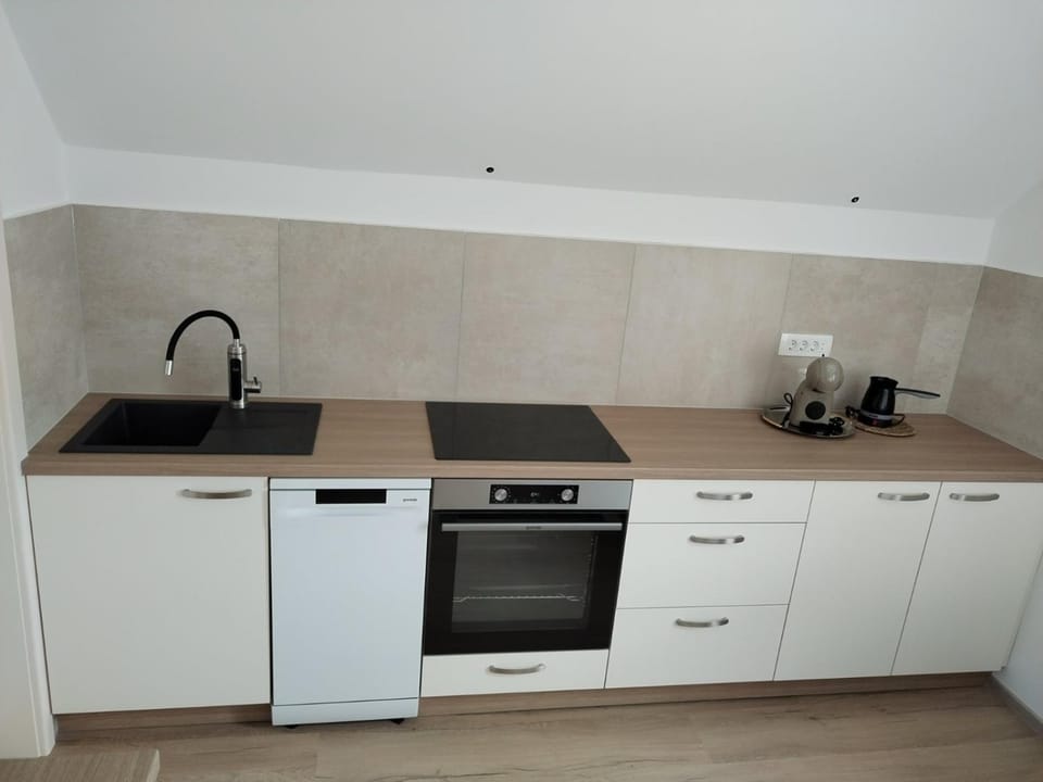 Kitchen or kitchenette, dishwasher, stove