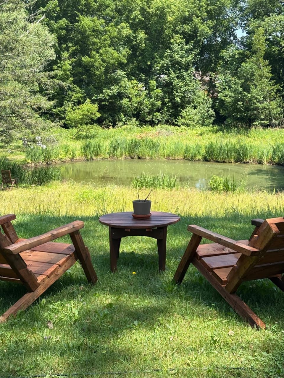 Garden view