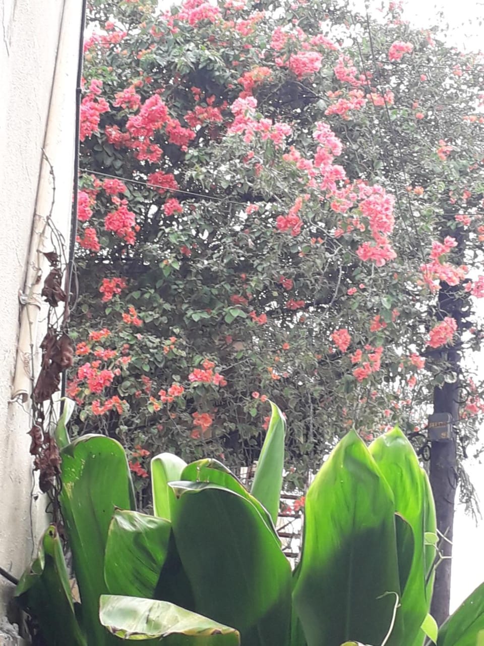 SDQ apartamentos Apartment hotel in Santo Domingo Este