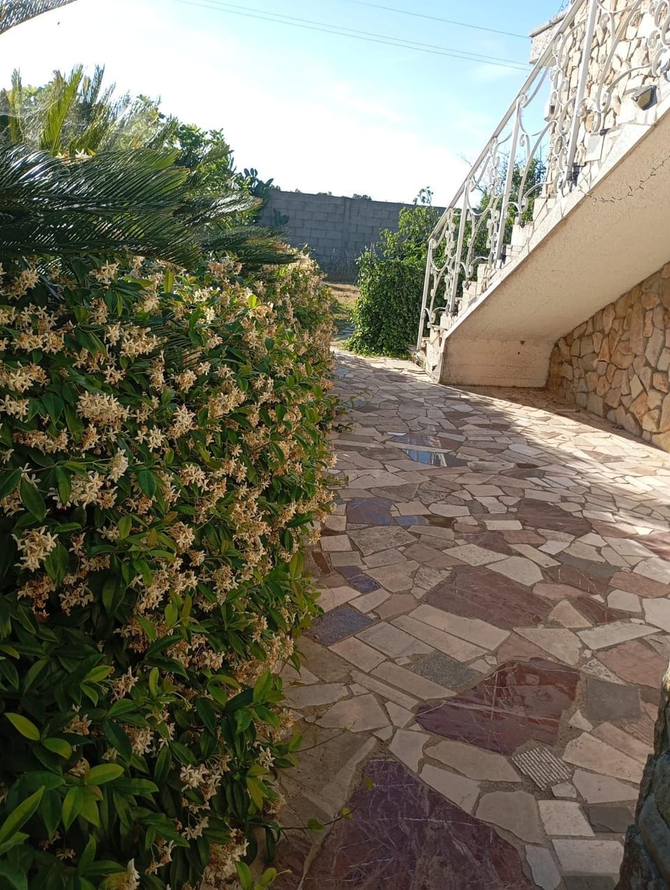 Tenuta Armonia Due Mari Bed and Breakfast in Apulia