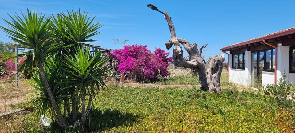 Magia Salentina! Tipico Trullo con Giardino House in Apulia