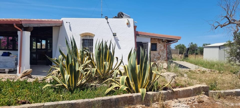 Magia Salentina! Tipico Trullo con Giardino House in Apulia